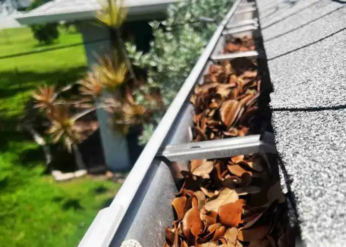Sky Lake gutter cleaning home page